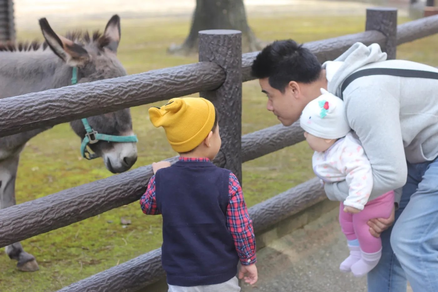 🐘 후쿠오카시 동물원/식물원 (후쿠오카시 도쇼쿠부쓰엔) 이미지 5